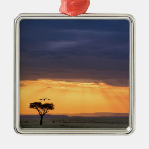 Panoramic view of Vulture and acacia tree Metal Tree Decoration