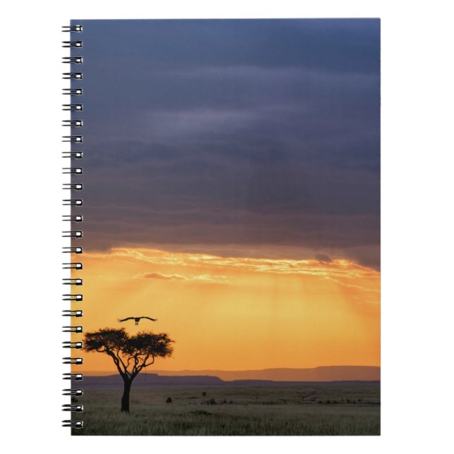 Panoramic view of Vulture and acacia tree Spiral Notebook (Front)