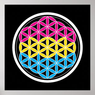 panSacred geometry Poster
