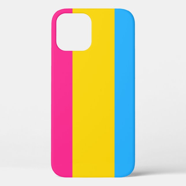 Pansexual flag iPhone 12 case (Back)