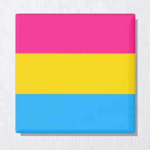Pansexual Flag & Pride community /gender flag Magnet