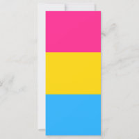 Pansexual Pride Flag LGBTQ
