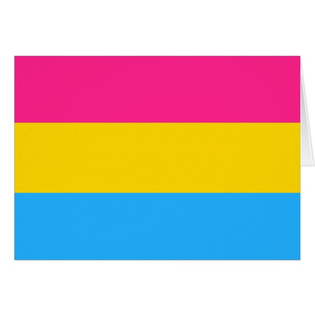 Pansexual Pride Flag LGBTQ (Front Horizontal)