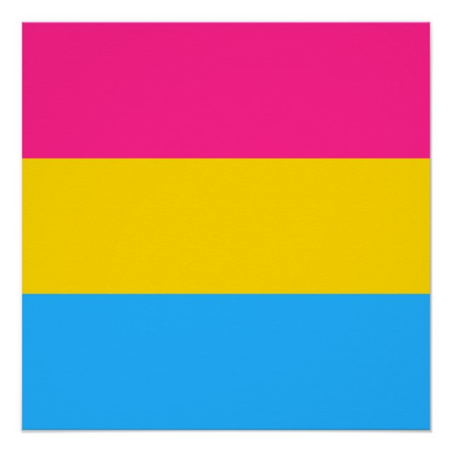 Pansexual Pride Flag LGBTQ Poster (Front)