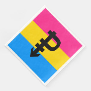 Pansexual Pride Flag Napkin