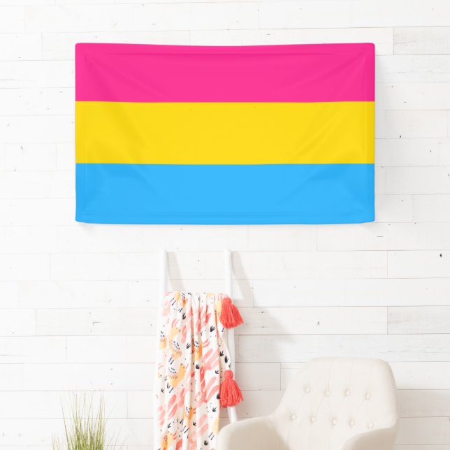 Pansexual Pride (Pan Flag) Banner (Insitu)