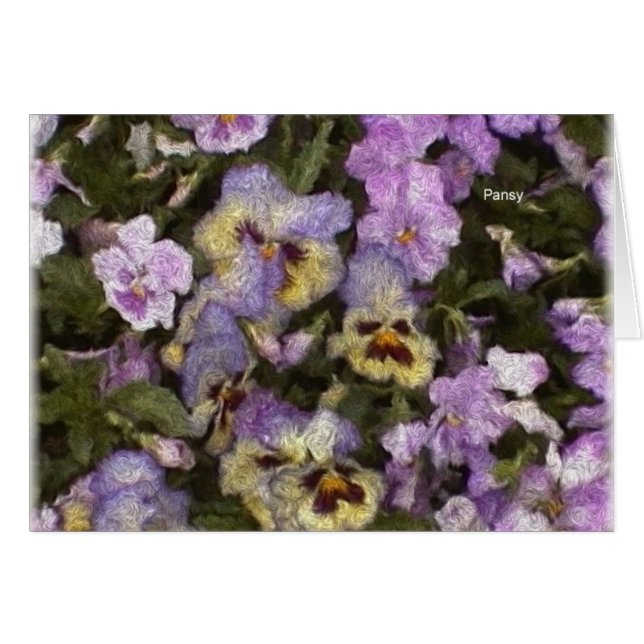 Pansies 01 (Front Horizontal)