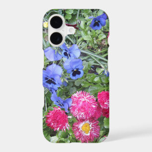 Pansies and Daisies