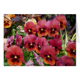 Pansies Card for you!
