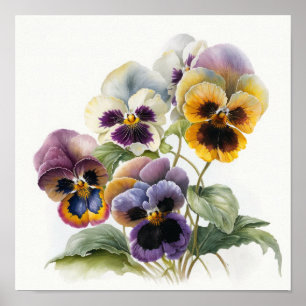 Pansies Pansy Flower Art Print Poster