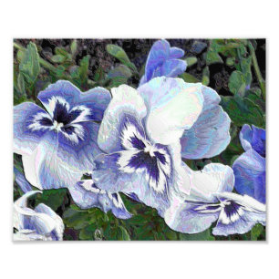 PANSIES PHOTO PRINT