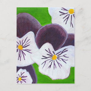 Pansies Postcard