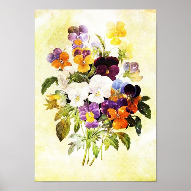 Pansies Poster (Front)