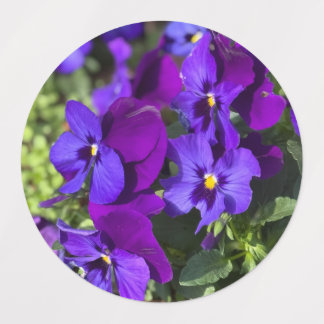 Pansies Return Address Labels