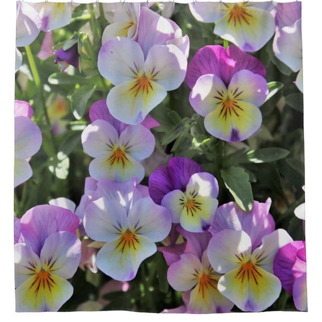 Pansies Shower Curtain (Front)
