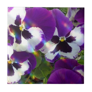 Pansies  Tiles or Trivets