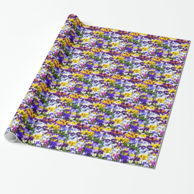 Pansies Wrapping Paper (Unrolled)