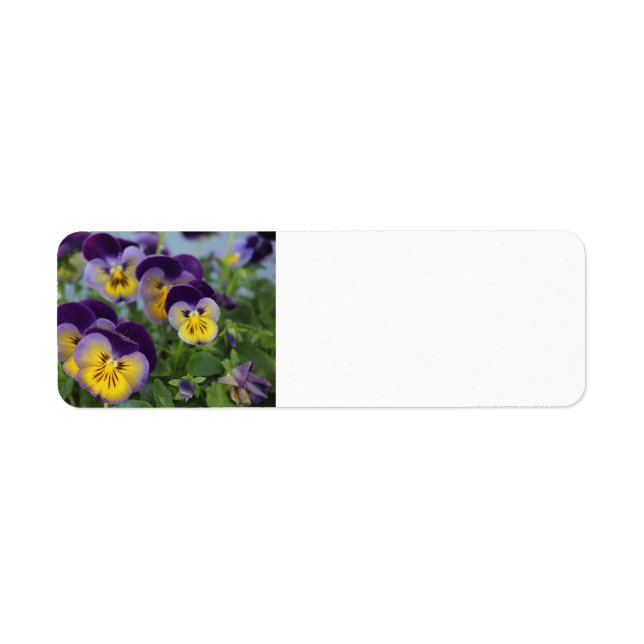 Pansy address label (Front)