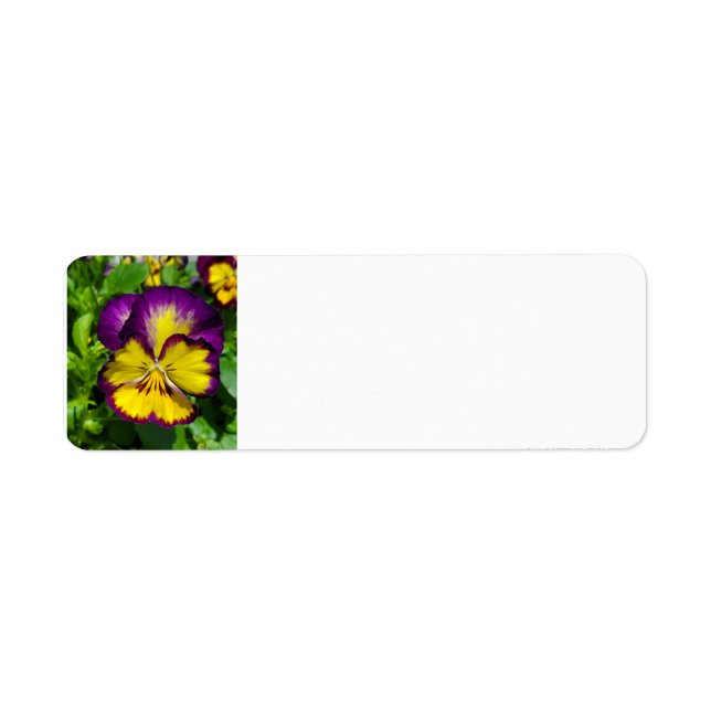 Pansy address label (Front)