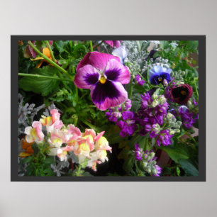 Pansy and Friends Poster