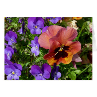 Pansy and Violets Card