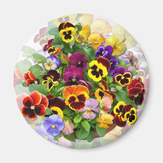 PANSY BEAUTY ~ Magnet (Front)