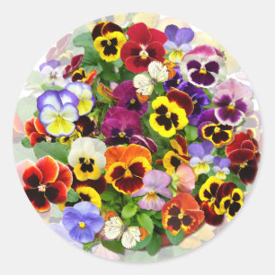 Pansy Beauty with Butterflies Classic Round Sticker