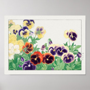 Pansy by Tanigami Konan Poster