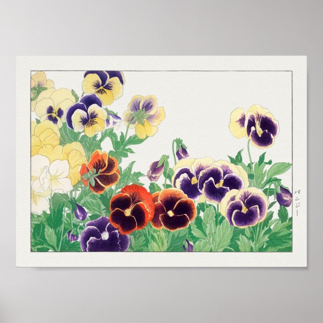 Pansy by Tanigami Konan Poster (Front)