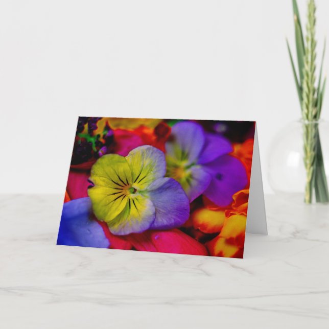 PANSY CARD (Front)