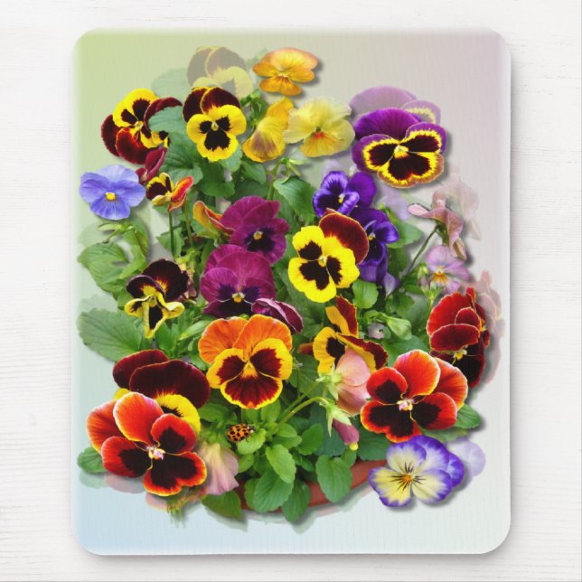 PANSY DELIGHT ~ Mousepad (Front)