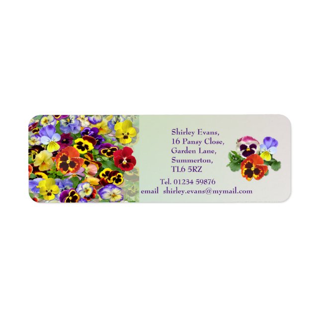 Pansy Display Custom Text (Front)