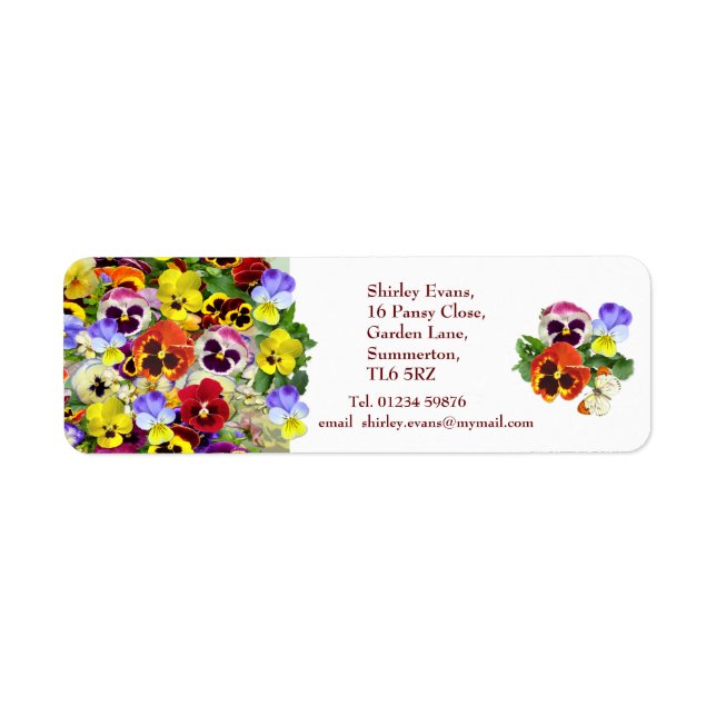 Pansy Display Custom Text (Front)