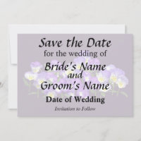 Pansy Family Reunion