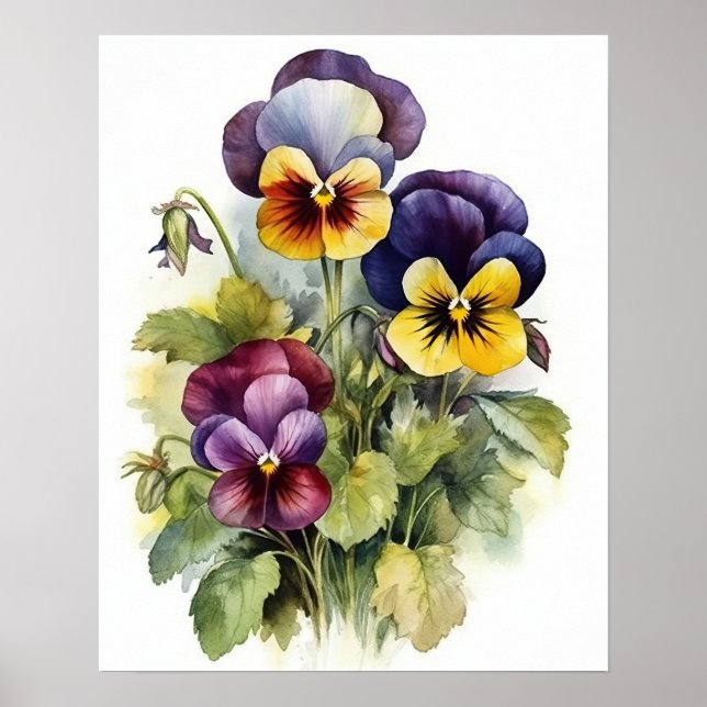 Pansy Flowers Art Print Poster (Front)