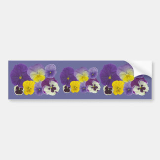 Pansy Flowers Bumper Sticker