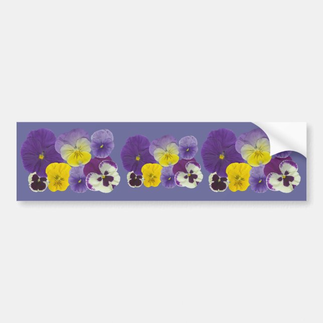 Pansy Flowers Bumper Sticker (Front)