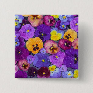 Pansy flowers floating in bird bath with dew 15 cm square badge