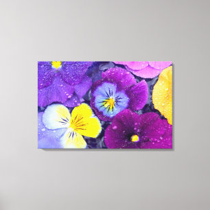 Pansy flowers floating in bird bath with dew canvas print