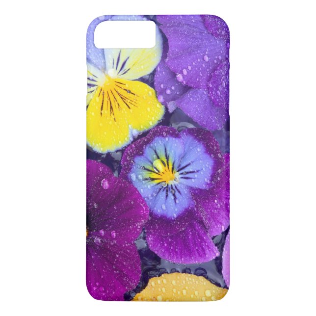 Pansy flowers floating in bird bath with dew Case-Mate iPhone case (Back)