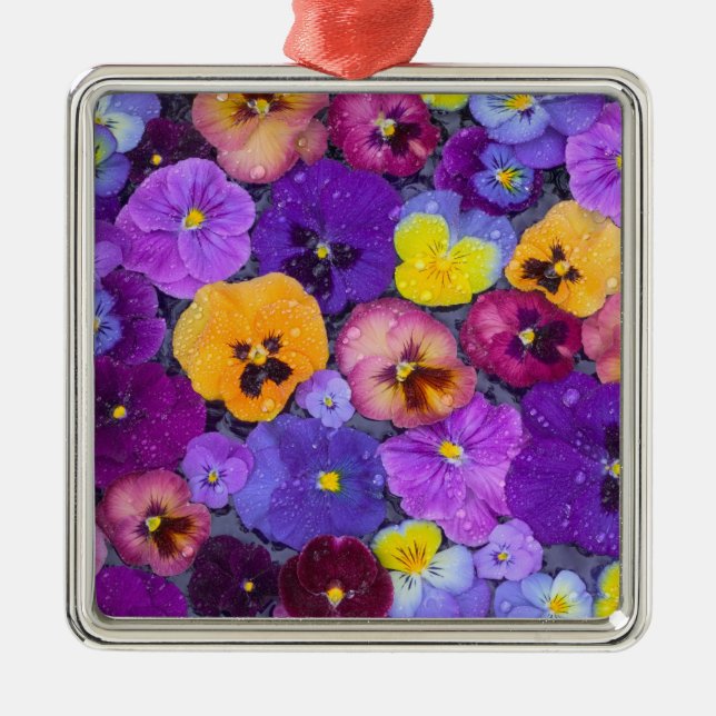 Pansy flowers floating in bird bath with dew metal tree decoration (Front)