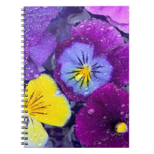 Pansy flowers floating in bird bath with dew spiral notebook