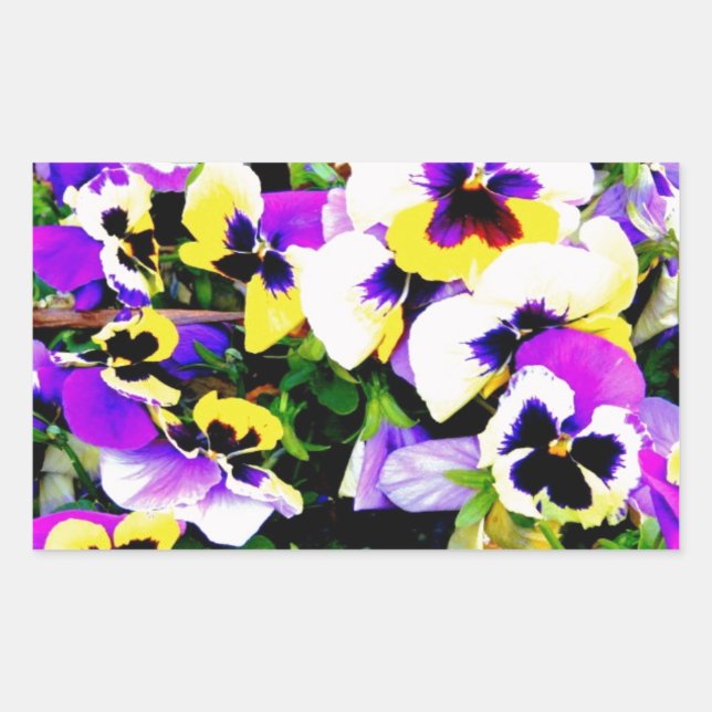 pansy flowers rectangular sticker (Front)