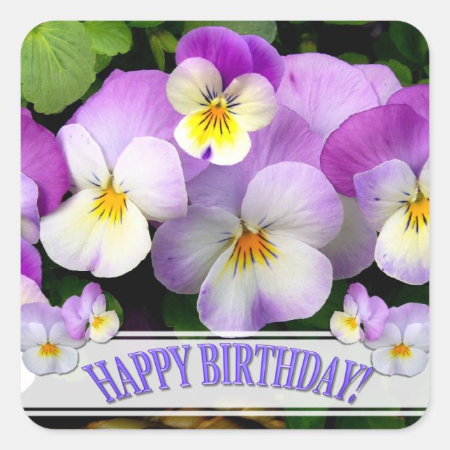 Pansy Happpy Birthday Square Sticker (Front)