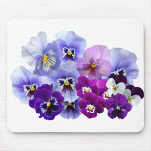 Pansy Isolated Violet Nature Flower Violet Family. Mouse Pad