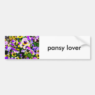 pansy lover bumper sticker