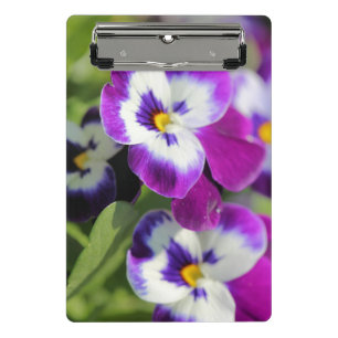 Pansy Mini Clipboard