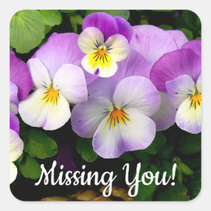 PANSY  Missing You Square Sticker