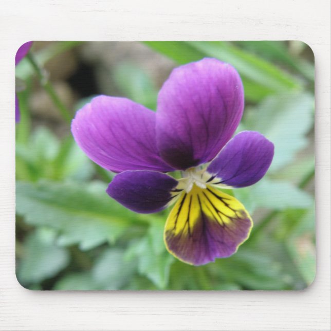Pansy Mousepad (Front)