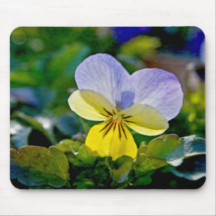 Pansy Perfection Mouse Pad